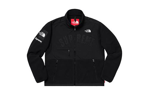 Supreme x THE NORTH FACE SS19