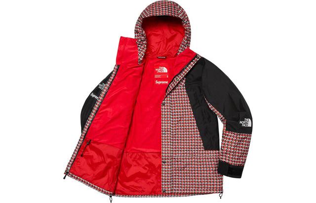 Supreme x THE NORTH FACE SS21