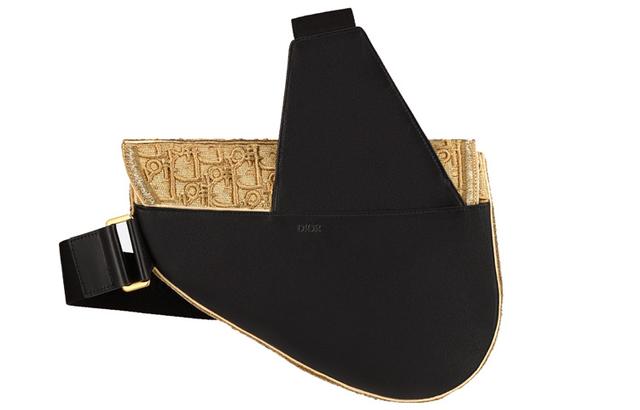 DIOR PETER DOIGSaddle Oblique