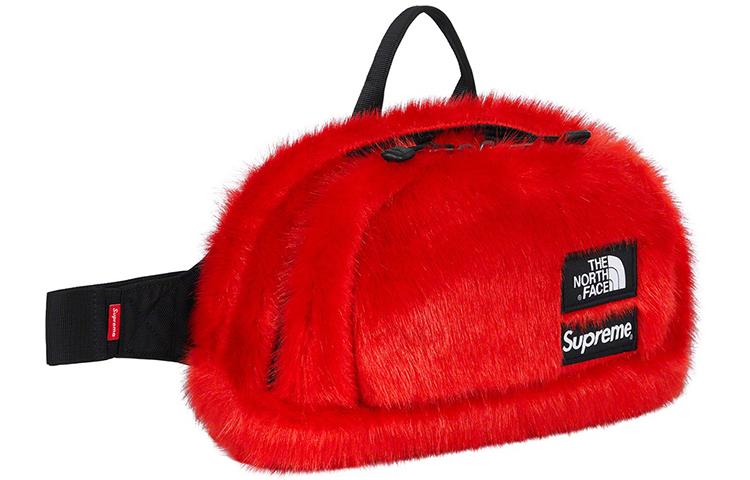 Supreme x The North Face Supreme FW20 Week 16