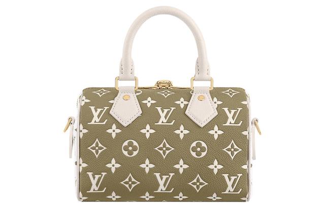 LOUIS VUITTON Speedy 20