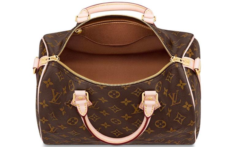 LOUIS VUITTON Speedy 30