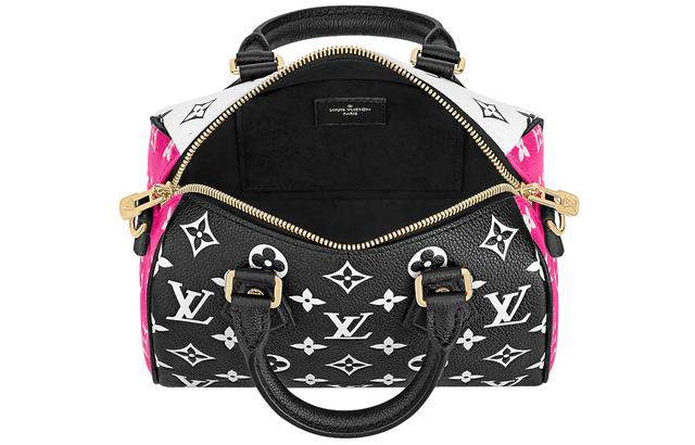 LOUIS VUITTON Speedy 20