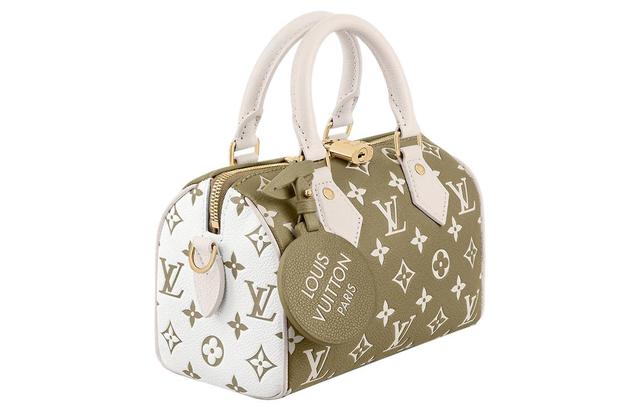 LOUIS VUITTON Speedy 20