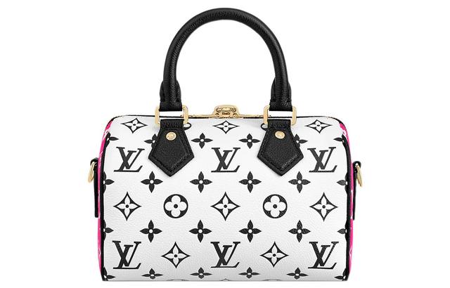 LOUIS VUITTON Speedy 20