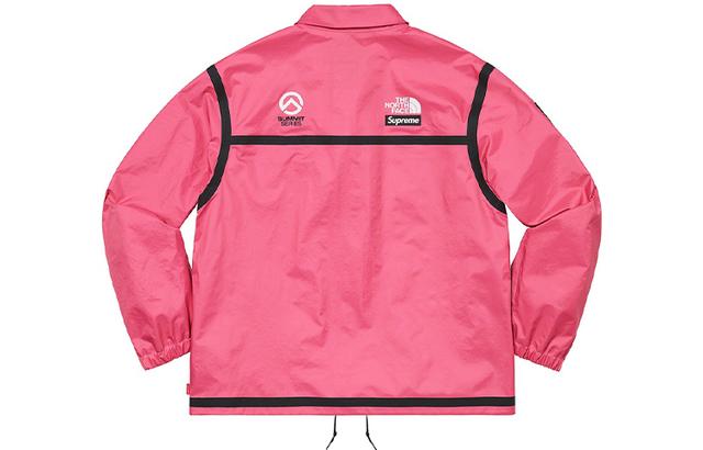 Supreme x THE NORTH FACE TNF Logo