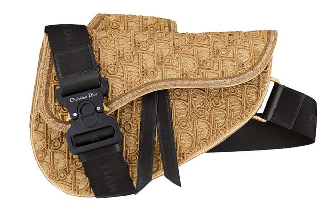 DIOR PETER DOIGSaddle Oblique