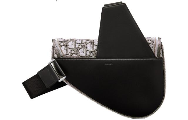 DIOR PETER DOIGSaddle Oblique