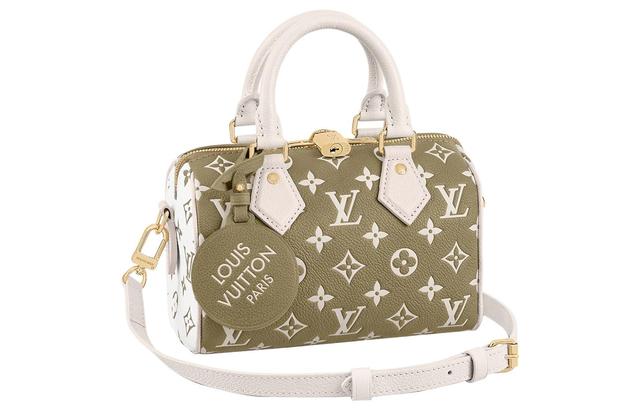 LOUIS VUITTON Speedy 20