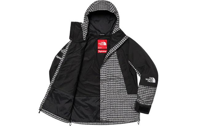 Supreme x THE NORTH FACE SS21