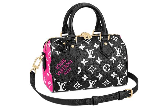 LOUIS VUITTON Speedy 20