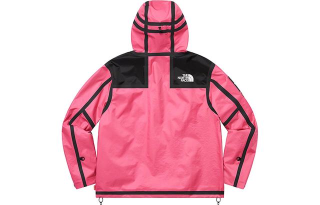 Supreme x THE NORTH FACE SS21TNF Logo