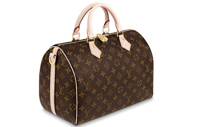 LOUIS VUITTON Speedy 30