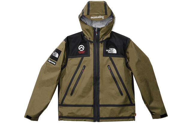 Supreme x THE NORTH FACE SS21TNF Logo