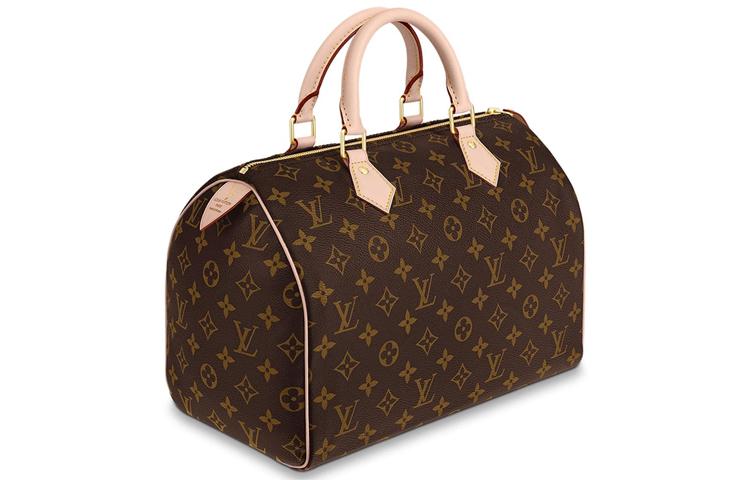 LOUIS VUITTON Speedy 30 30