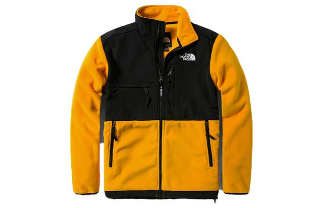 THE NORTH FACE 1995 RETRO DENALI JACKET Denali