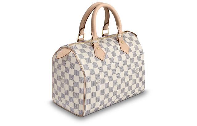 LOUIS VUITTON Speedy 25