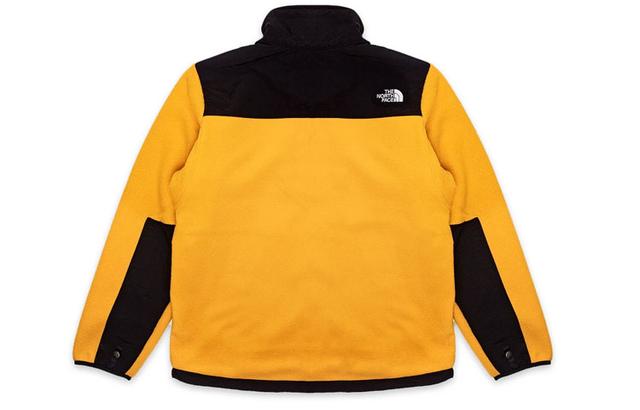 THE NORTH FACE 1995 Denali Logo