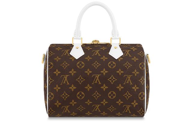 LOUIS VUITTON LV MatchSpeedy 25 25