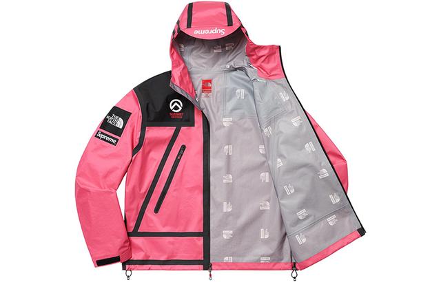 Supreme x THE NORTH FACE SS21TNF Logo