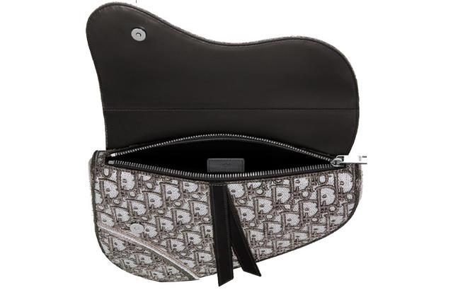 DIOR PETER DOIGSaddle Oblique