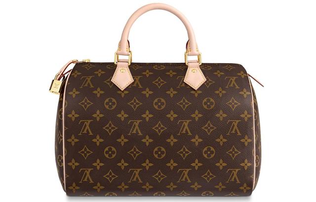 LOUIS VUITTON Speedy 30 30