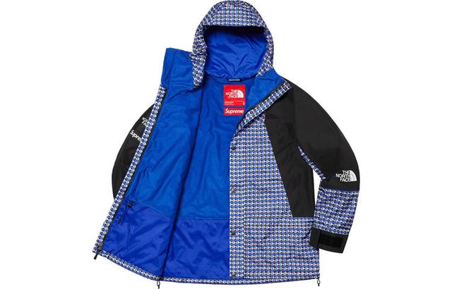 Supreme x THE NORTH FACE SS21