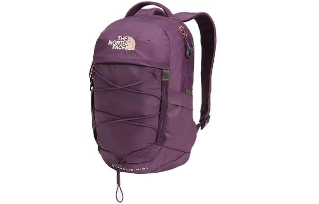 THE NORTH FACE Borealis Mini Backpack Blackberry Wine