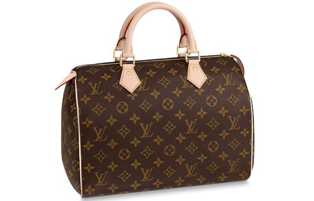 LOUIS VUITTON Speedy 30 30