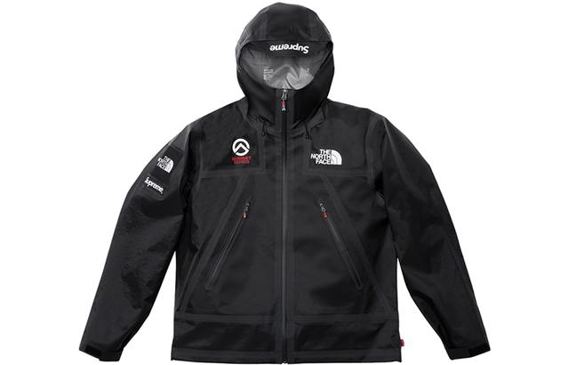 Supreme x THE NORTH FACE SS21TNF Logo