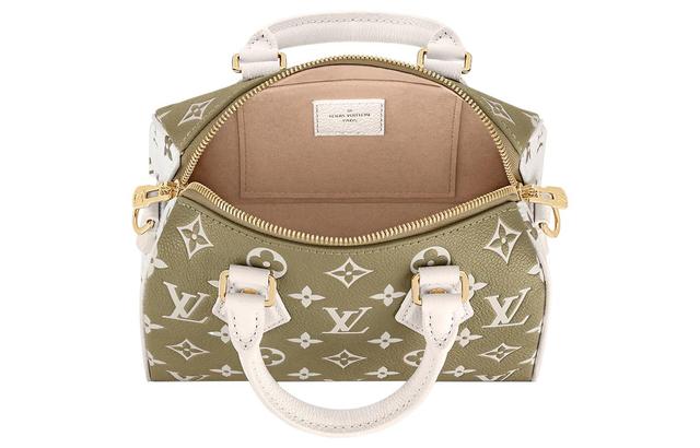 LOUIS VUITTON Speedy 20