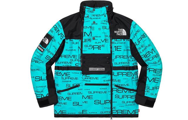 Supreme x the north face logo