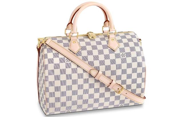 LOUIS VUITTON Speedy 30 30