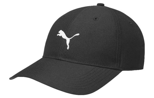 PUMA Logo