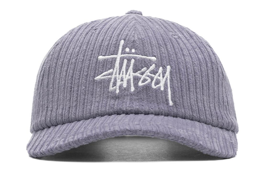 Stussy BIG LOGO LOW PRO