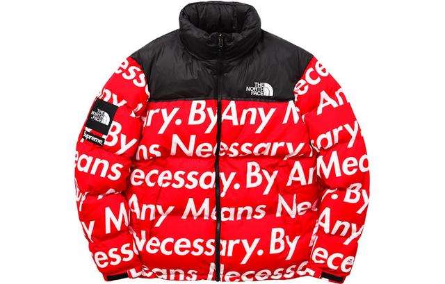 Supreme x THE NORTH FACE TNF FW15