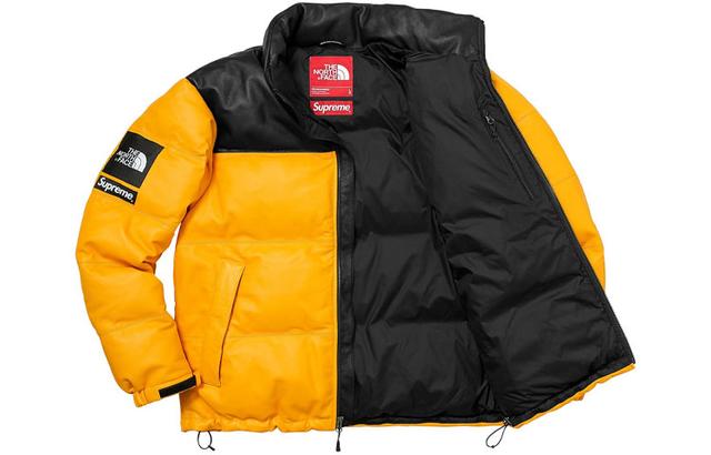 Supreme x THE NORTH FACE FW17