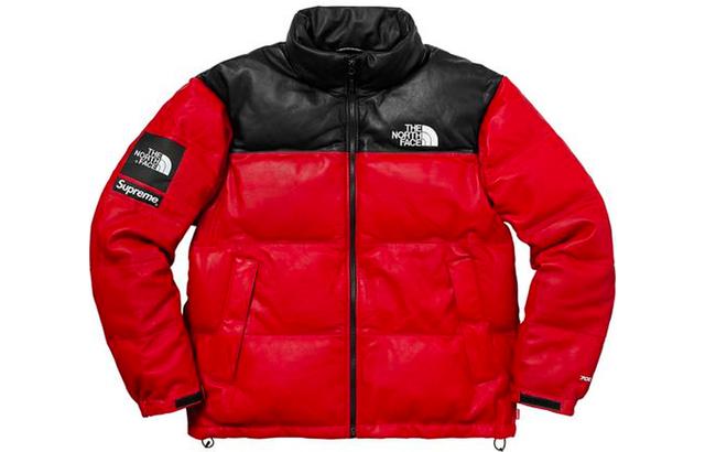 Supreme x THE NORTH FACE FW17