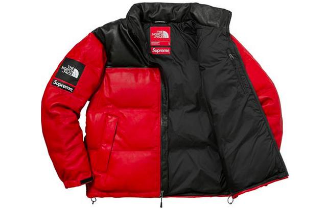 Supreme x THE NORTH FACE FW17