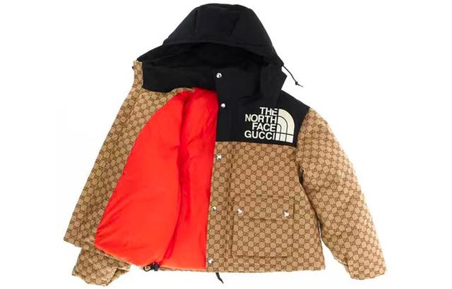 GUCCI x THE NORTH FACE Logo