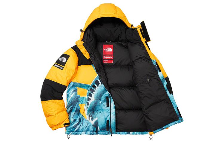 Supreme x THE NORTH FACE FW19