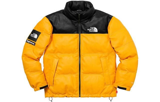 Supreme x THE NORTH FACE FW17