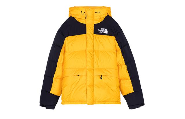 THE NORTH FACE DOWN PARKA ENERGY