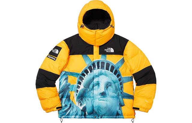 Supreme x THE NORTH FACE FW19