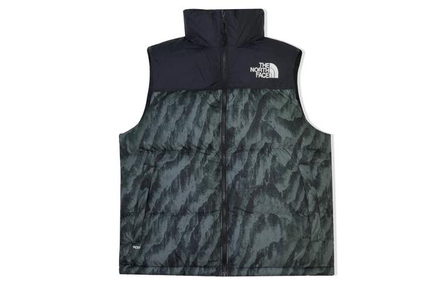 THE NORTH FACE UE 1996 Nuptse 700