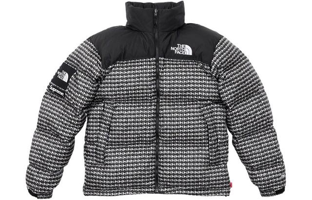 Supreme Week 5 x The North Face Studded Nuptse Jacket Logo