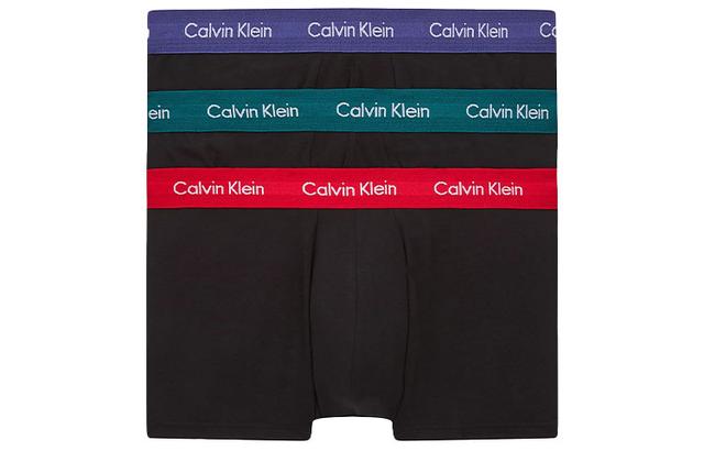 CKCalvin Klein Logo 13