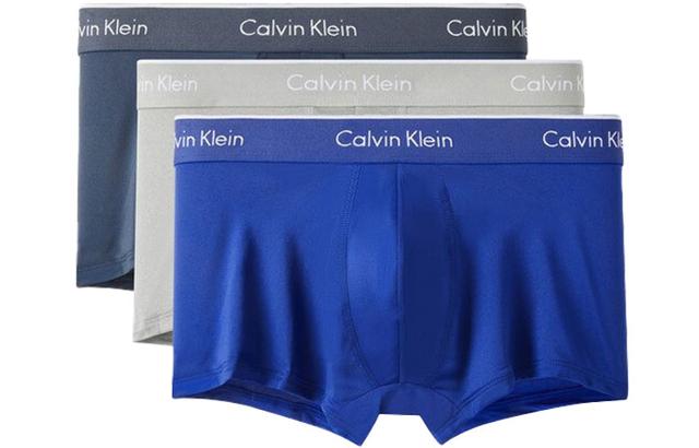 CKCalvin Klein Logo 3