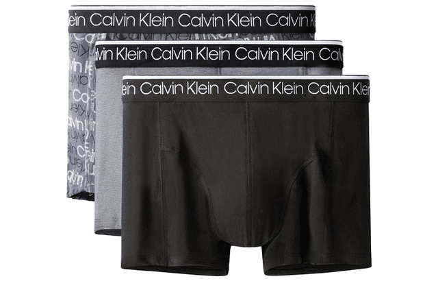 CKCalvin Klein Logo 3