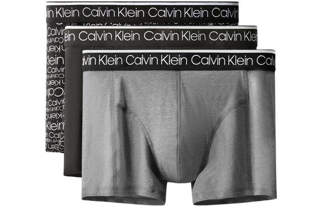 CKCalvin Klein Logo 13